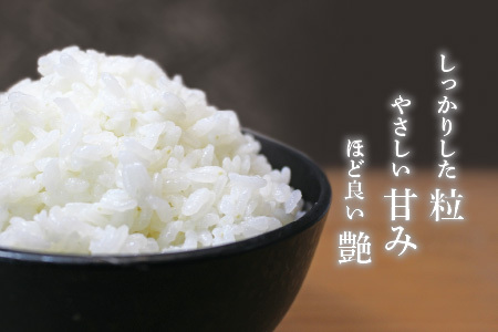 【令和7年産】（上白米）さんさん池見二代目がお届けする 福井県産いちほまれ 5kg [B-0219_01]