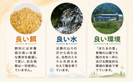 卵  深美たまご 定期便 30個×3ヶ月 連続お届け かわなべ鶏卵農場のこだわりのたまご | 定期便 3ヶ月 青梅市産 国産 朝食 卵 たまご タマゴ 玉子 鶏卵 新鮮 卵かけご飯 TKG ゆで卵 ゆでたまご お弁当 料理 食品 グルメ お取り寄せ 小分け おすそ分け お裾分け ギフト 贈答 贈答用 贈り物 プレゼント 手土産 お土産 自宅用 家庭用 かわなべ鶏卵農場 東京都 青梅市