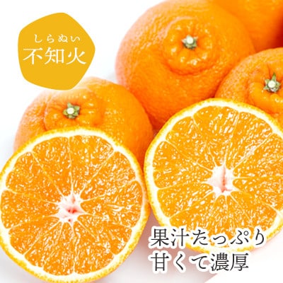 【2026年2月以降発送】デコポンと同品種 濃厚柑橘 不知火5kg【訳あり】【C25−139】【1138007】