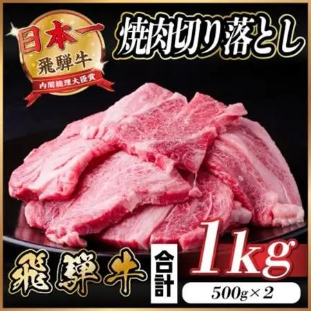 飛騨牛 焼肉 切り落とし 約1kg(約500g×2)訳あり【冷蔵便】_肉 焼肉 牛肉 やきにく ヤキニク バーベキュー_【配送不可地域：離島】【1543362】