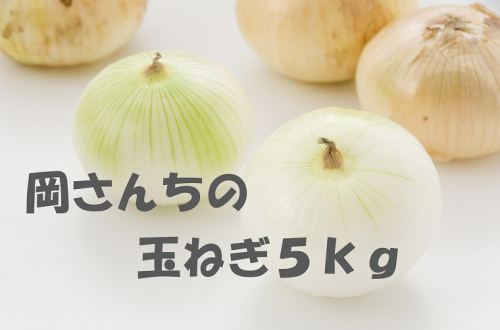 BE012　佐賀県みやき町岡さんちのたまねぎ5kg「２L、３Lサイズ」