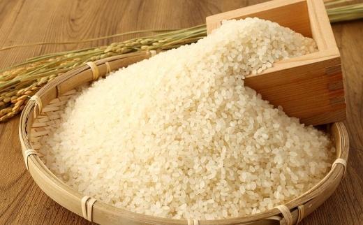 2024年秋収穫分 福岡県大川市産ヒノヒカリ 4kg