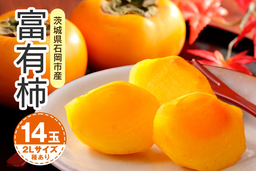 
                  【2026年先行予約】富有柿 2L 14玉（鈴木柿園） 柿 甘い柿 かき 富有カキ 甘い 果物 フルーツ くだもの カキ 富有かき 秋 旬 甘柿 糖度 贈答用 贈答品 ギフト 贈り物 品種 ブランド 11月 12月 発送 産地直送 農家直送 産直 茨城県 石岡市 (A08-002)
                