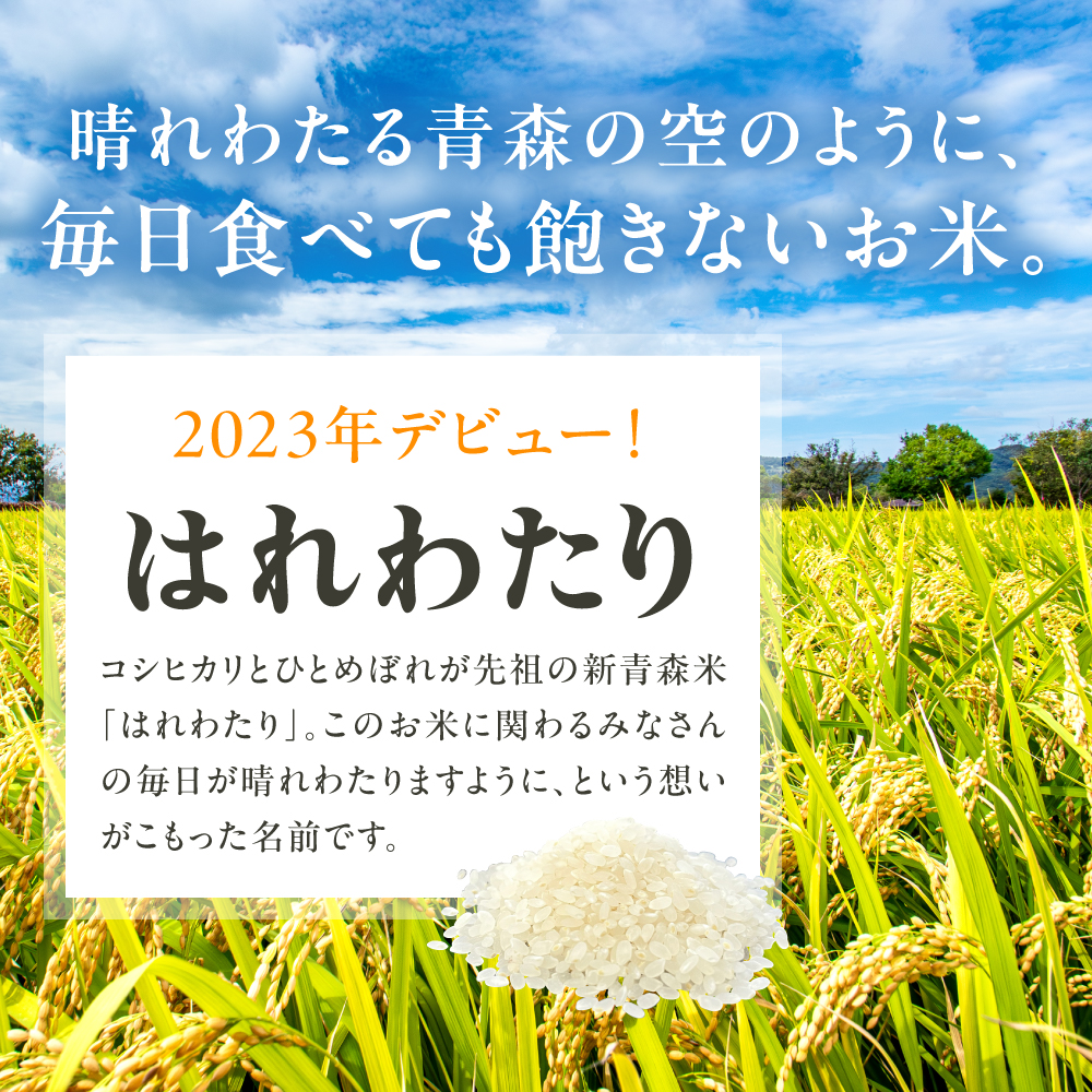  【6月前半発送】無洗米 5kg はれわたり 青森県産 【特A 米 白米 5キロ JAごしょつがる】 青森県 五所川原市