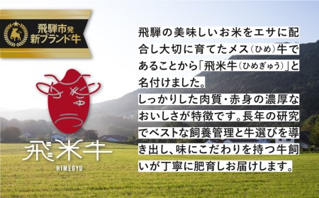 【ふるなび限定】  飛米牛の生ハンバーグ 180g 4個入り ハンバーグ FN-Limited-SP