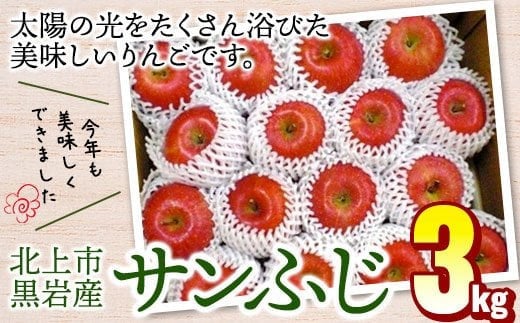 りんご サンふじ 約 3kg   11月から発送予定 フジ さんふじ 贈答 お歳暮 ギフト 冬の贈り物 プレゼント 厳選 甘い 冬 果物 フルーツ おやつ 家庭 贈答 のし  季節 リンゴ 林檎 くろいわ産直  岩手県 北上市 D0542 国産 フルーツ 林檎 アップル