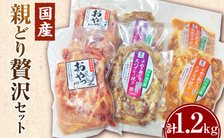 冷凍　国産親どり贅沢セット(スパイシー焼き・スタミナ焼き・ノーマルスライス)_mk166-001