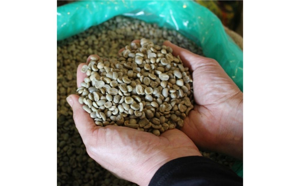 YAMATO HERB COFFEE ドリップ パック カフェイン有 6個入／松田商店 ふるさと納税 コーヒー ブレンド 伝統 ハーブ 大和 当帰葉 有機 奈良県 宇陀市