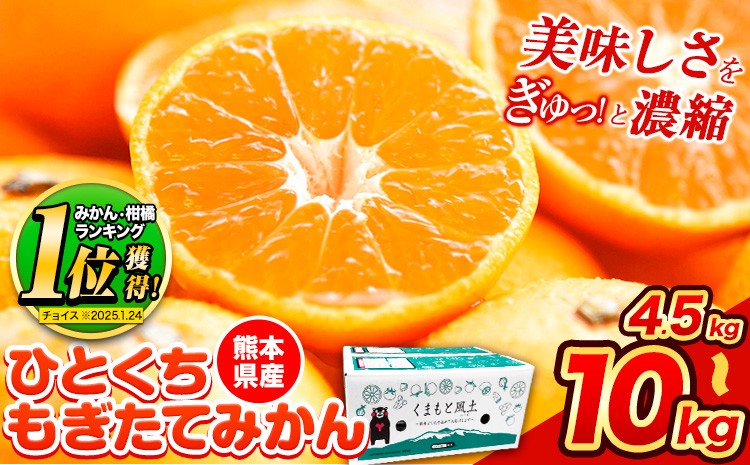 
                  訳あり みかん ひとくちもぎたてみかん 約 5kg  約 8kg  約 10kg  約 12kg S-3Sサイズ 訳あり ご家庭用 熊本県産 （荒尾市産含む） 期間限定 フルーツ 果物 旬 冬 柑橘 小玉 みかん《9月下旬-12月下旬頃出荷》 
                