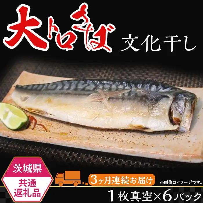サバ 茨城限定 極上干物 大トロさば文化干し 定期品 3ヶ月 【茨城県共通返礼品/神栖市】