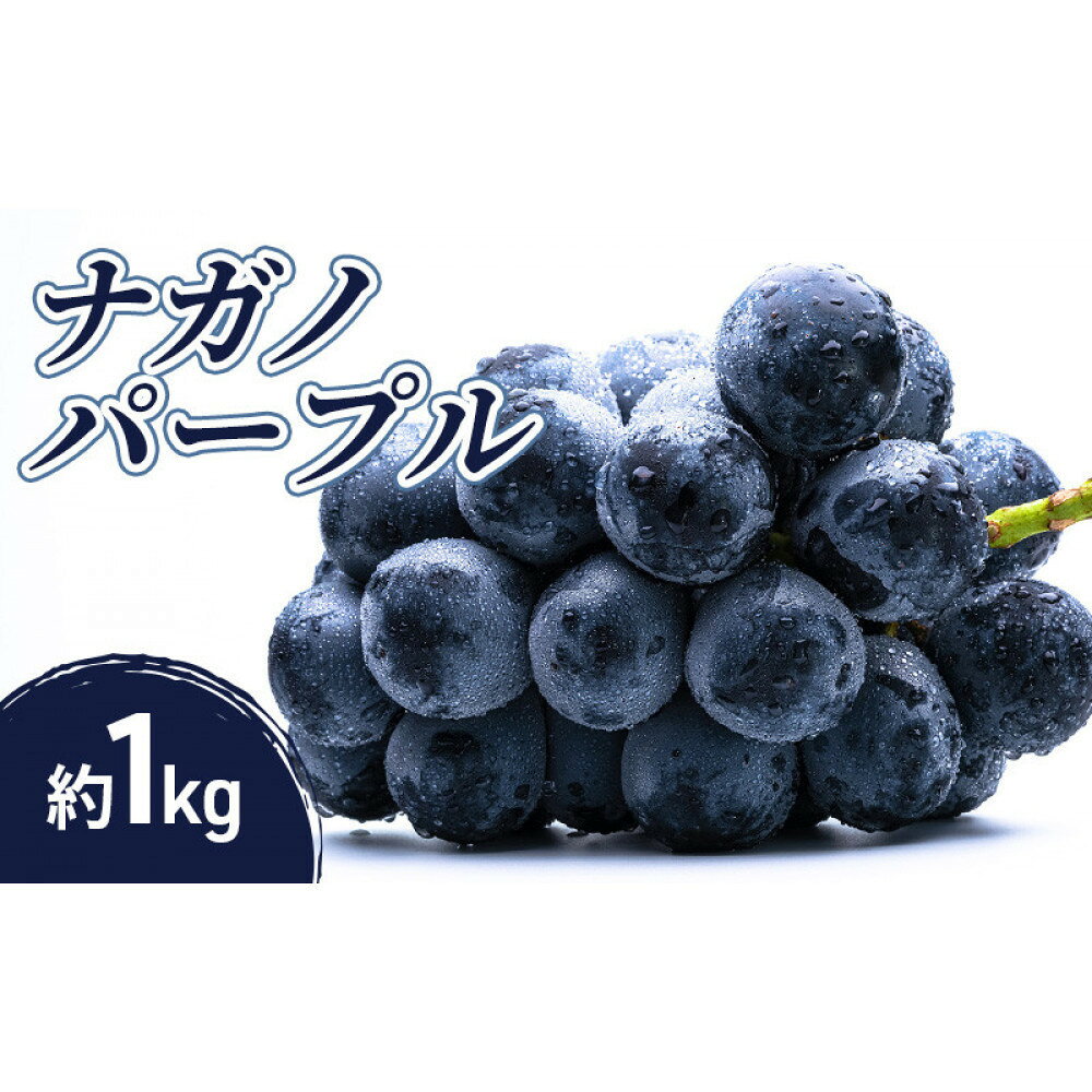 【ふるさと納税】小松農園　2026年産先行予約ナガノパープル 1kg 果物 フルーツ ぶどう 長野県 | ナガノパープル ぶどう フルーツ 果物 国産 人気 おすすめ ギフト プレゼント 送料無料 長野県 長野市 信州 信濃 ふるさと納税