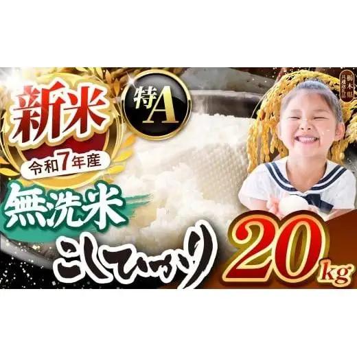 【2026年産】栃木県産コシヒカリ 無洗米 20kg 【栃木県共通返礼品 栃木県産】