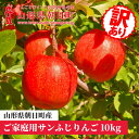 【ふるさと納税】りんご 山形県 朝日町産 ご家庭用 訳あり「サンふじ」10kg (36～46玉)　山形県産 特産 果物 フルーツ リンゴ 林檎 秋 冬 送料無料