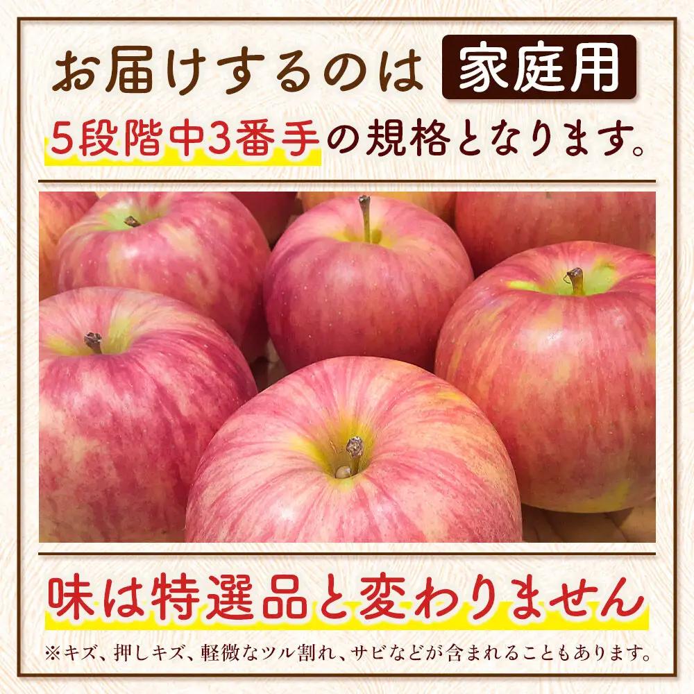 りんご サンふじ 家庭用 約5kg 【12月発送】 りんご