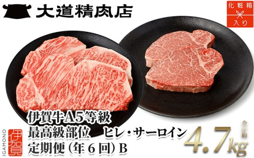 【年6回奇数月発送】伊賀牛 A5ヒレ・サーロイン 定期便B 総合計約4.7kg【dido-tkb0007】