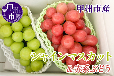 【クール配送】シャインマスカット＆赤系ぶどう 各1房（2房合計約1kg）【2025年発送】（KFT）B12-1810 【 シャインマスカット 赤系ぶどう 葡萄 ぶどう ブドウ 令和7年発送 期間限定 山梨県産 甲州市 フルーツ 果物】