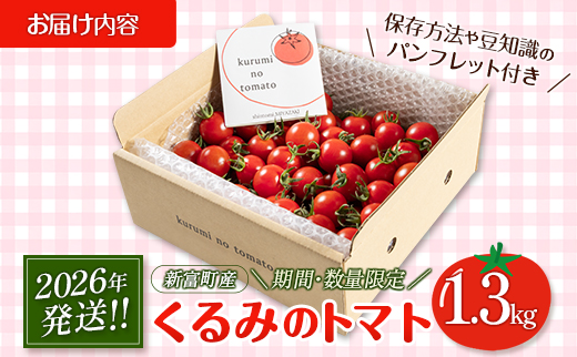 数量限定 くるみのトマト 計1.3kg 1箱［2026年発送］宮崎県新富町産 朝採れ 野菜 フレッシュ 国産【B667】