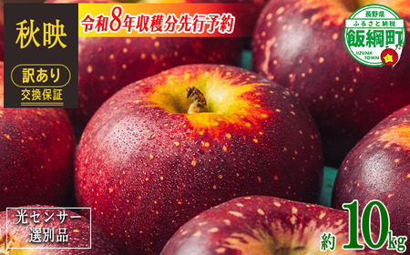 【 感謝りんご / 光センサー選別品 】 りんご 秋映 訳あり 10kg （ 24玉 〜 50玉 ） 交換保証 ながの農業協同組合 2026年10月上旬頃から2026年10月下旬頃まで順次発送予定 令