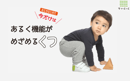 ちいくっく?〈あるく機能が目覚めるくつ〉(サイズ：12.5cm、柄：カエルさん＆おたまじゃくしちゃん)