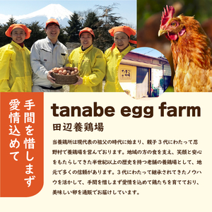 【2月配送分】”忍野の卵”旨味のピンク玉※卵25個+割れ保証5個　計30個