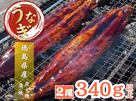 【徳島県産】美波町の森が育んだ「樵木（こりき）備長炭」で焼き上げる。外はパリッ、中はふっくら。職人手焼きの極上うなぎ（大きめ2尾）ふるさと納税 うなぎ 鰻 蒲焼 国産 徳島県 美波町 炭火焼 備長炭 手焼き 大きめ 高級 絶品 お取り寄せ ギフト 土用の丑 SDGs サステナブル 環境保全 伝統　ウナギ