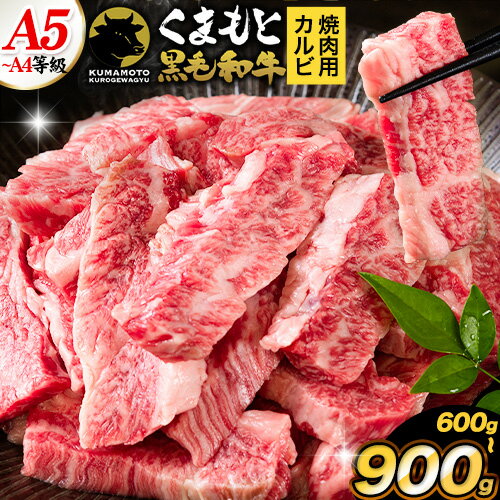 【ふるさと納税】くまもと黒毛和牛 上 カルビ 焼肉 切り落とし 600g 900g《7-14日以内に出荷予定(土日祝除く)》熊本県 津奈木町 上カルビ 焼肉用 黒毛和牛 焼肉 肉 お肉 和牛 A5 A4 300g 小分け