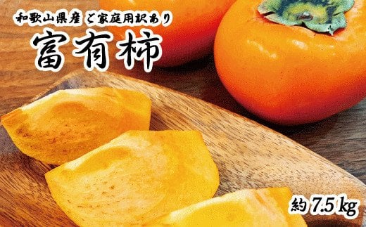  【ご家庭用わけあり】和歌山秋の味覚　富有柿　約7.5㎏ ※2025年11月上旬頃〜2025年12月上旬頃に発送（お届け日指定不可） / 果物 フルーツ 柿 旬 人気 先行予約 訳あり 【uot719A】