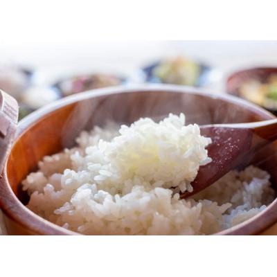 ふるさと納税 十日町市 【令和7年産】　魚沼産コシヒカリ2kg |  | 01