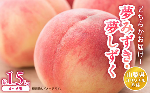 
日本一の桃の里 山梨よりもぎたてを直送!山梨県オリジナル品種「夢みずき・夢しずく」1.5キロをお届け【1381399】
