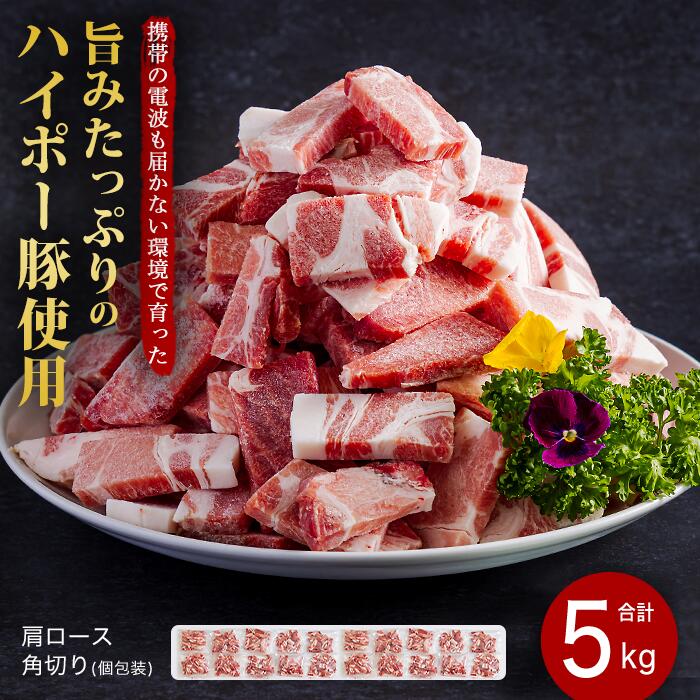 【ふるさと納税】豚肉 阿武町産 豚肩ロース 角切り 250g×20パック 小分けセット | 携帯の電波も届かない環境で育った旨みたっぷりのハイポー豚 豚 肉 お肉 ※配送不可:離島