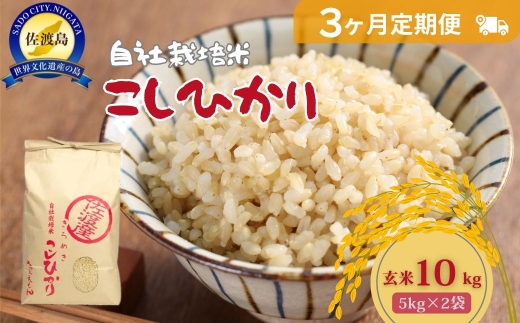 【3か月定期便】佐渡産コシヒカリ 玄米 合計30kg（10kg（5kg×2袋）×全3回）自社栽培米 単一原料米 | 新潟県産コシヒカリ 新潟産コシヒカリ 佐渡産コシヒカリ 新潟県産こしひかり 佐渡産こしひかり お米 米 こしひかり 玄米 げんまい おこめ コメ 10キロ にいがた さど 新潟県 佐渡市