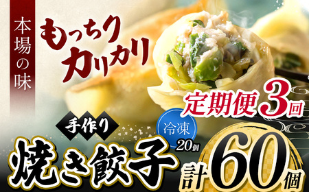3回 定期便 手作り 焼き餃子  ( 冷凍 )  20個 【 手作り餃子の店 吉春 】 | 冷凍餃子 地元野菜 ・ 国産素材 を使用 