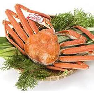 松葉ガニ ブランド タグ付き ボイル 1枚 800g 以上 年明け 配送 松葉がに