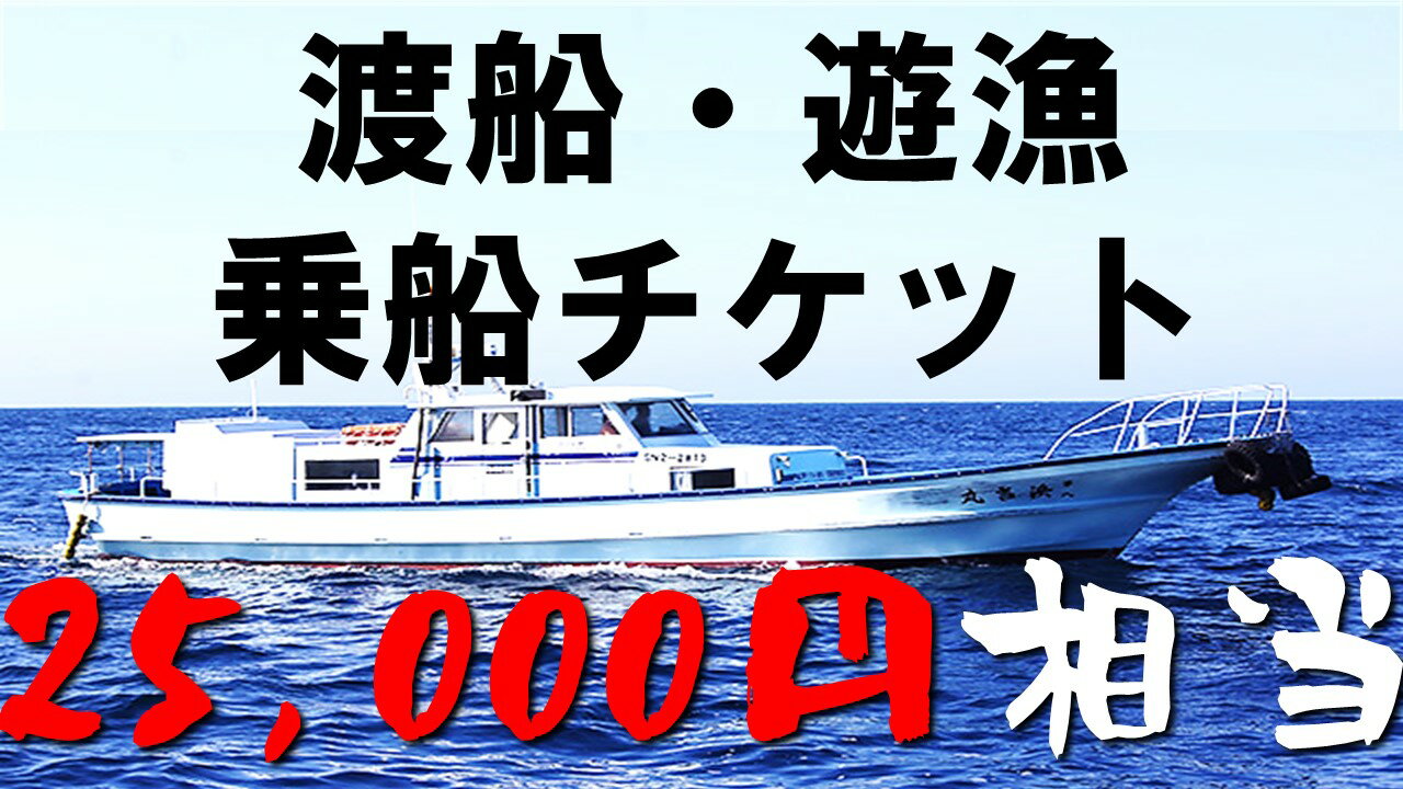 【ふるさと納税】渡船・遊漁 乗船チケット 25000円相当