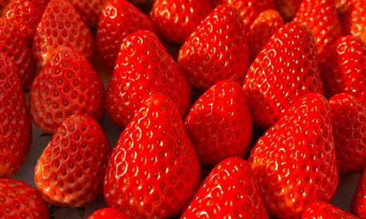 【ふるさと納税】≪先行予約≫極上 紅ほっぺ 計1kg ( 約250g × 4 ) いちご イチゴ 苺 べにほっぺ フルーツ 旬 果物 採れたて 12000円 1万2千円 ショートケーキ フルーツサンド スイーツ 産地直送 完熟 国産 冷蔵 愛知県 豊橋市