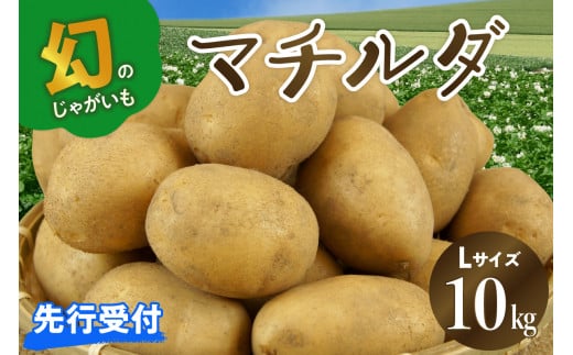 【先行受付】【2025年4月出荷分】十勝めむろ産 マチルダ Ｌサイズ10kg me010-013c-24