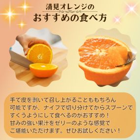 【先行予約】 秀優品 清見オレンジ 10kg 【S～３Lサイズ混合】 【2027年3月中旬から2027年4月中旬頃に順次発送】/みかん 清見 和歌山 フルーツ 有田 果物 オレンジ 甘い ジューシー【