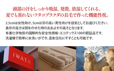 枕 キャメル IWATA 高さ3cm ラクダ まくら 職人 滋賀 愛荘