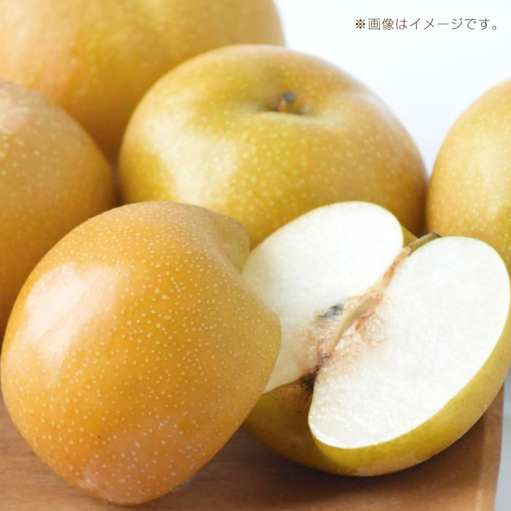 【ふるさと納税】梨 2025年先行予約 岡山県産 新高梨 約3kg 4～6玉 フルーツ 大玉 甘み 国産 産地直送 赤梨 酸味控えめ ジューシー 【2025年10月下旬～11月上旬迄発送予定】