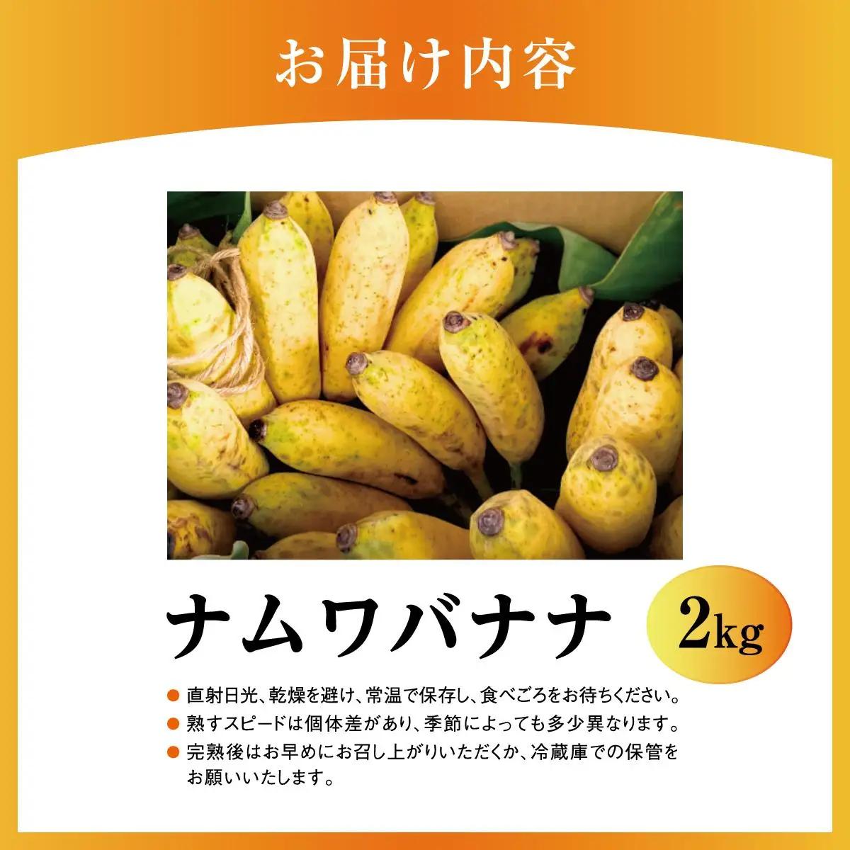  ナムワバナナ 2kg   