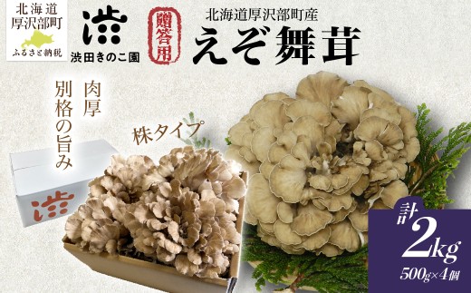 【肉厚・香り豊か】厚沢部の極み えぞ舞茸（株タイプ）正味2kg入り（4〜5株）北海道厚沢部町産 渋田きのこ園 冷蔵 贈答用 ASM008