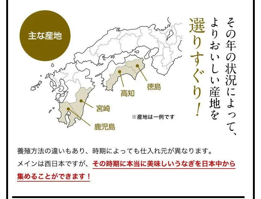 【丑の日用】国産うなぎ蒲焼き大サイズ3本セット(B1167-1) 