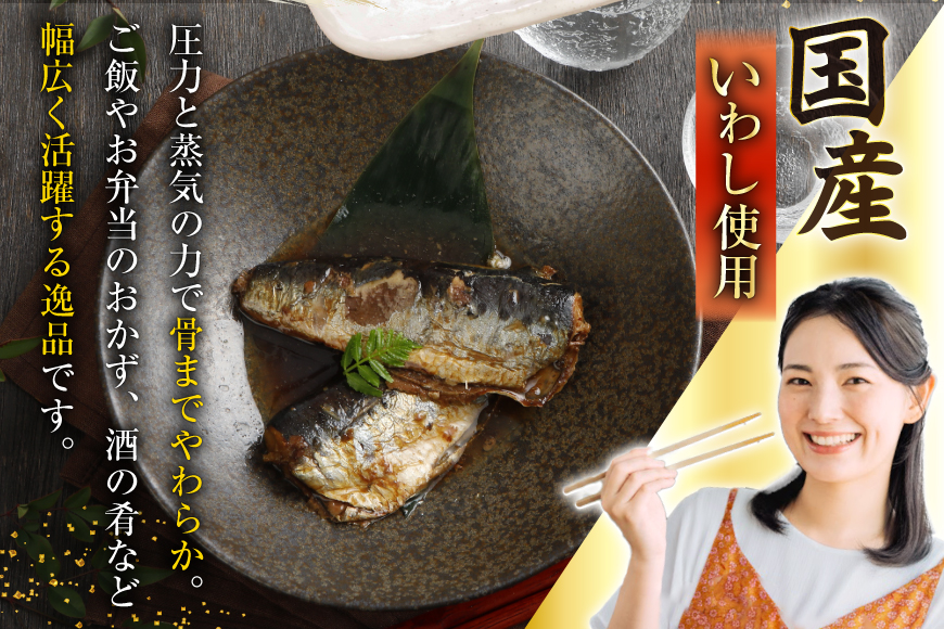 訳あり 業務用 いわし煮魚 3種 ×10尾 計30尾入 約1.5kg 簡易包装 [カネダイ 宮城県 気仙沼市 20565562] 魚 魚介 煮魚 国産 生姜煮 梅肉煮 みぞれ煮 おかず 焼き魚 簡単 