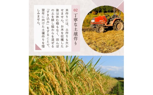  【2026年10月中旬発送】令和8年産 新潟県妙高産コシヒカリ2kg
