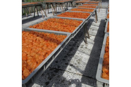 【0629-3】薬師梅『蜜』はちみつ味　1ｋｇ