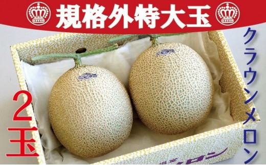 
                  クラウンメロン　規格外特大玉　2玉入【配送不可：離島】 果物 フルーツ デザート おやつ おもてなし ブランド 温室 温室育ち 濃厚 超特大サイズ 静岡県産 浜松市産 セット 
                