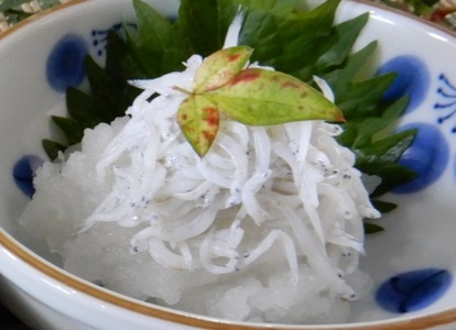 しらす釜揚げ（大井川港水揚げ）詰合せ (a10-474)