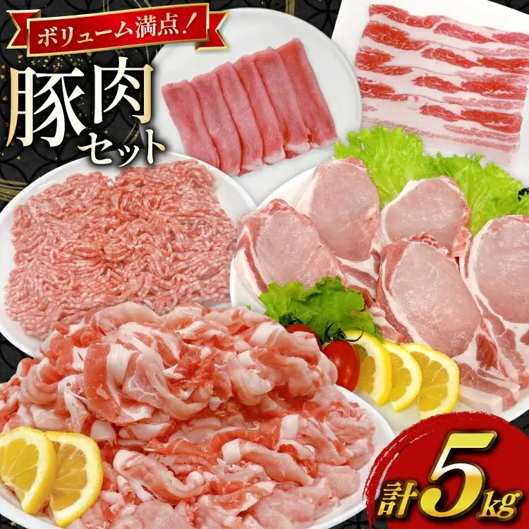 豚肉 宮崎県産豚肉 5kg 詰め合わせ セット [TRINITY 宮崎県 日向市 452061325]