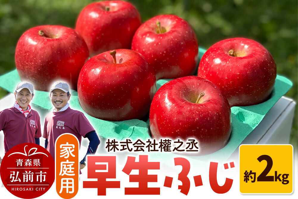 りんご 早生ふじ【家庭用】約2kg 權之丞farm 青森県 弘前市 果物 フルーツ 林檎 リンゴ くだもの 不揃い 規格外 [産地直送 弘前市産 アップル おいしい 果実 美味 甘い 赤色]