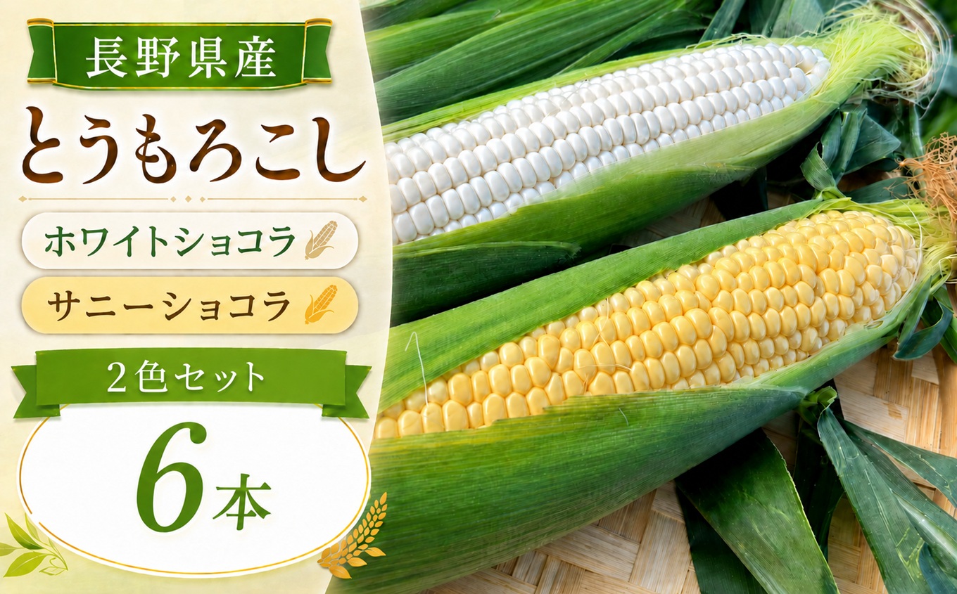 とうもろこし 2色 セット 6本 入り ホワイトショコラ サニーショコラ | 農家直送 トウモロコシ 甘い 野菜 ジューシー みずみずしい 生食 茹で 焼き 栄養 おやつ 長野県 南信州 飯田市